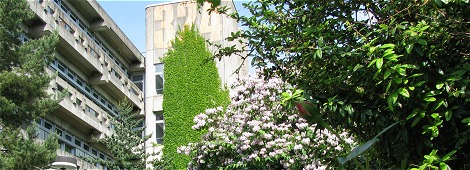 Bilder vom Neuenheimer Feld, Heidelberg und der Universität Heidelberg