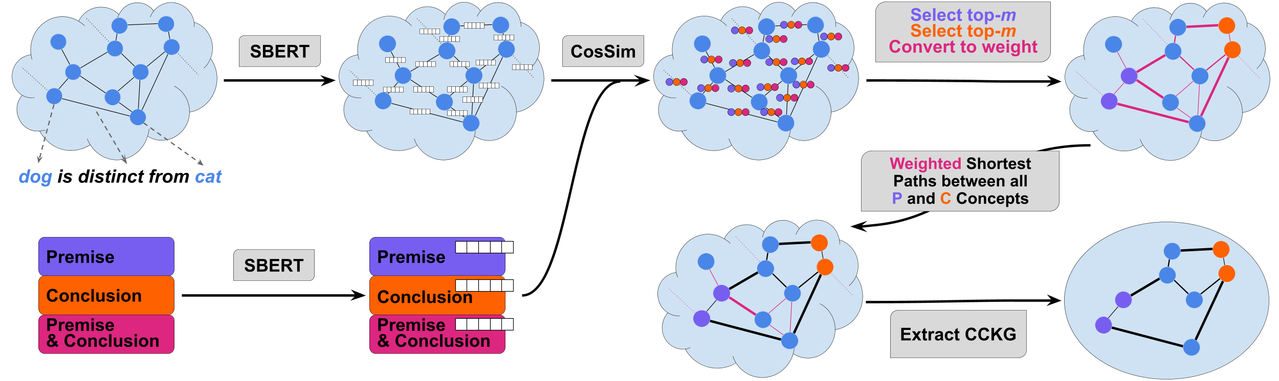 CCKG overview