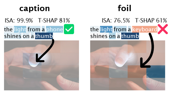 MM-SHAP example